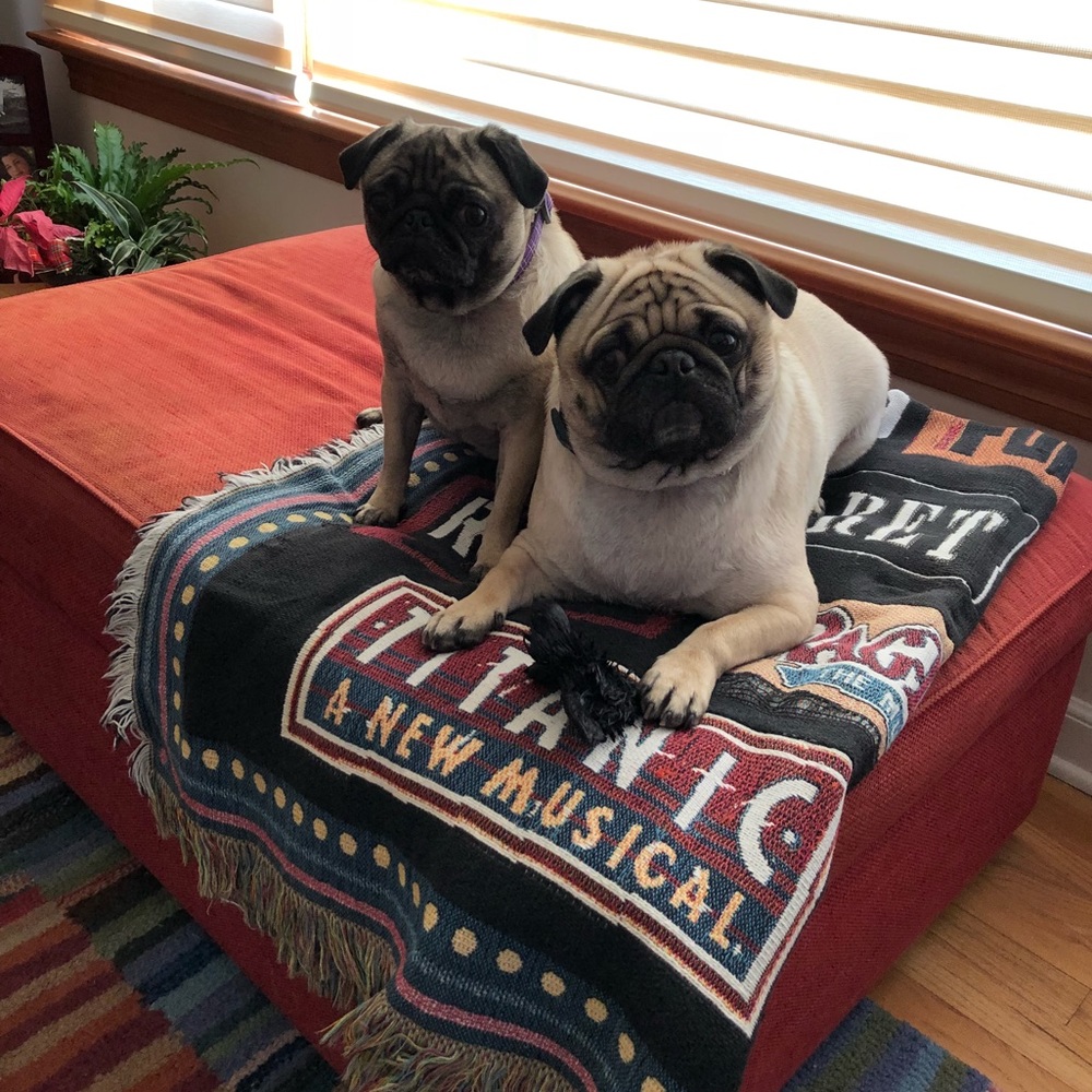 Meet your Posher, Pamela